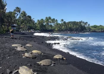 Des plages dangereuses à éviter