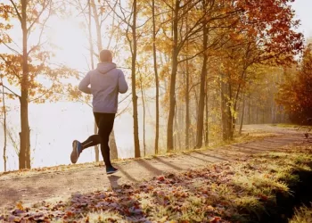 Sport : Quel moment serait le plus bénéfique ?