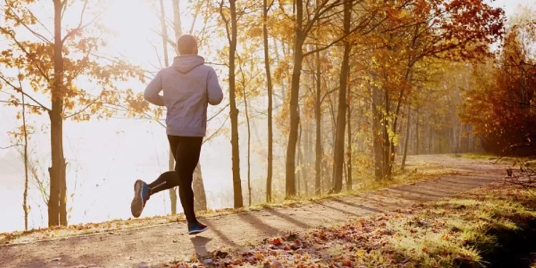 Sport : Quel moment serait le plus bénéfique ? 2 - Le Progrès Egyptien Sport : Quel moment serait le plus bénéfique ? 1 - Le Progrès Egyptien