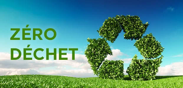 Les espèces en voie de disparition : peut-on encore les sauver ? 7 - Le Progrès Egyptien