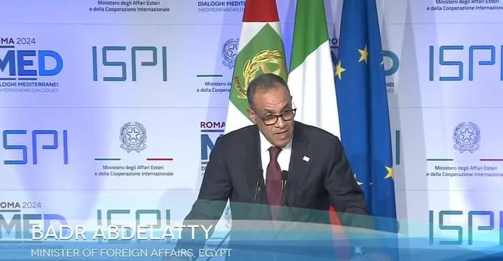 Agenda surchargé du ministre des AE à Rome 1 - Le Progrès Egyptien