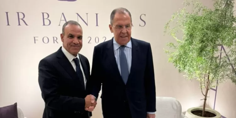 Le ministre des AE rencontre son homologue russe 1 - Le Progrès Egyptien