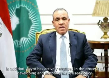 L’Egypte s’efforce de mettre en œuvre les piliers politiques de l’UA