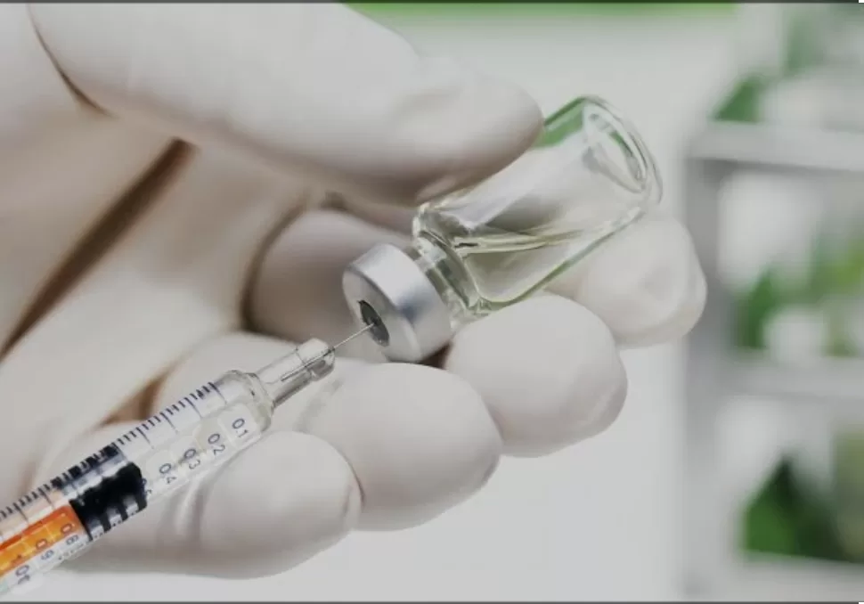 Effets indésirables du vaccin antigrippal 4 - Le Progrès Egyptien Effets indésirables du vaccin antigrippal 3 - Le Progrès Egyptien