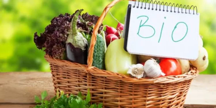 Manger bio : Quels effets sur notre santé? 2 - Le Progrès Egyptien Manger bio : Quels effets sur notre santé? 1 - Le Progrès Egyptien