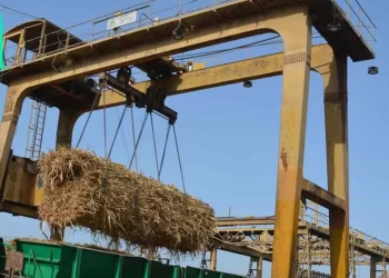 Rentrée en fonction de l’usine sucrière d’Abou Qorqas