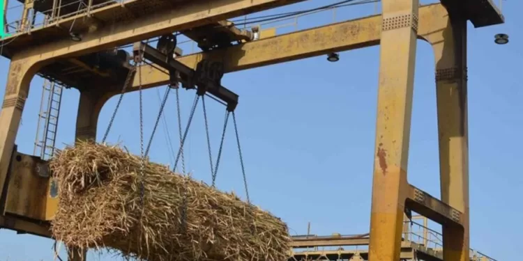 Rentrée en fonction de l'usine sucrière d'Abou Qorqas 1 - Le Progrès Egyptien