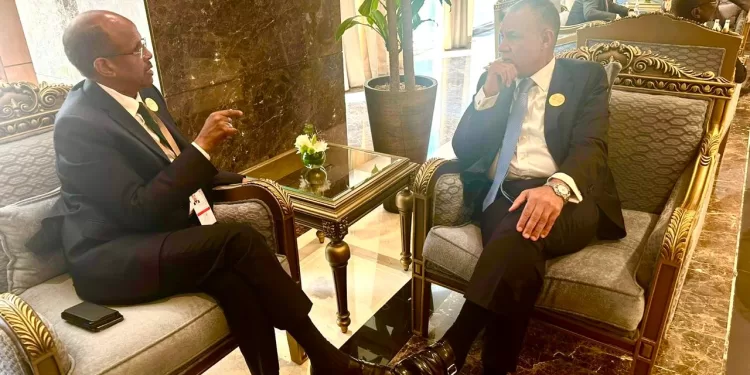 Promouvoir la coopération bilatérale avec Djibouti dans tous les domaines 1 - Le Progrès Egyptien