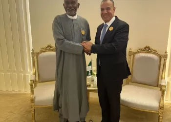 Intérêt égyptien à renforcer la coopération avec le Nigeria