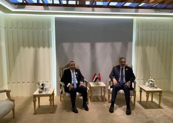 Abdel Aati s’entretient avec son homologue turc
