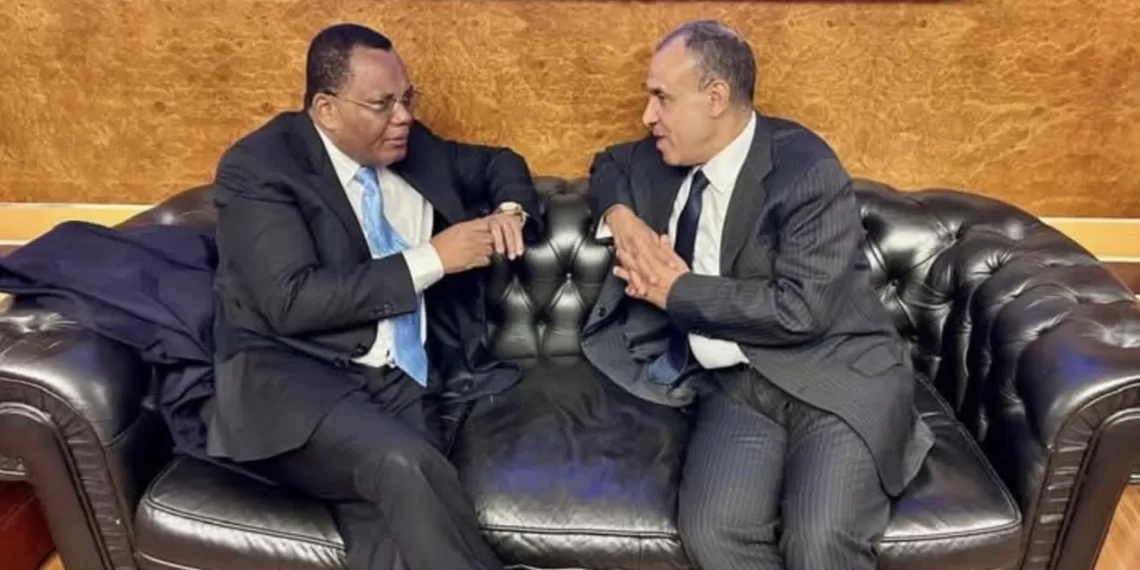 Abdel-Aati rencontre son homologue congolais 2 - Le Progrès Egyptien Abdel-Aati rencontre son homologue congolais 1 - Le Progrès Egyptien