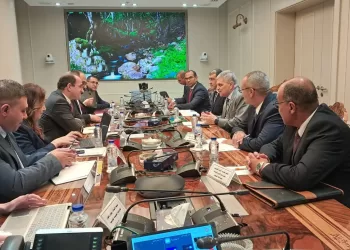 Stratégie pour transformer le Canal de Suez en une plateforme logistique