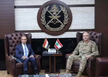 Abdel Aati : Plein soutien de l’Egypte aux institutions libanaises