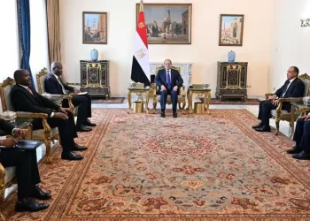 Al-Sissi reçoit le ministre sud-africain des Relations internationales et de la coopération