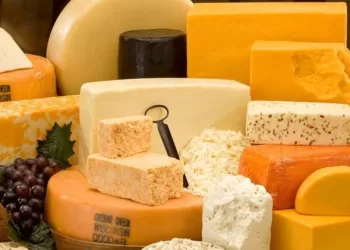 Le festival du fromage, une expérience immersive pour les sens