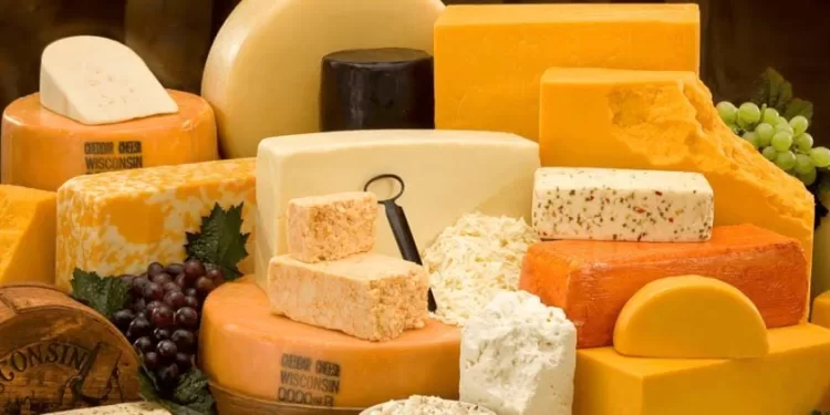 Le festival du fromage, une expérience immersive pour les sens 2 - Le Progrès Egyptien Le festival du fromage, une expérience immersive pour les sens 1 - Le Progrès Egyptien