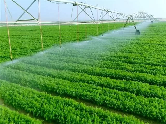 Re-imaginer l'agriculture pour réaliser la sécurité alimentaire 6 - Le Progrès Egyptien Re-imaginer l'agriculture pour réaliser la sécurité alimentaire 5 - Le Progrès Egyptien