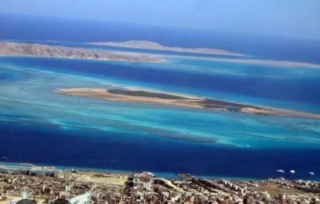 A la découverte de l'île d'Abu Minqar, la plus belle île marine de la mer Rouge 4 - Le Progrès Egyptien A la découverte de l'île d'Abu Minqar, la plus belle île marine de la mer Rouge 3 - Le Progrès Egyptien