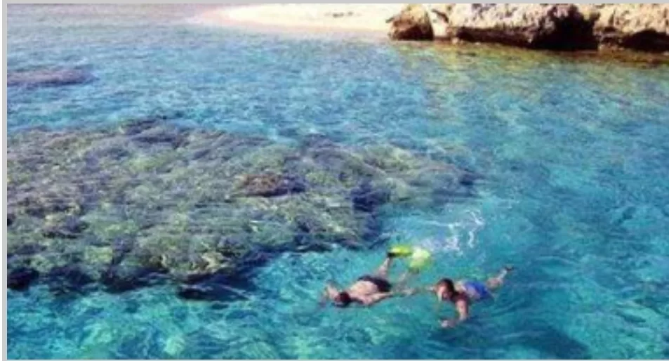 A la découverte de l'île d'Abu Minqar, la plus belle île marine de la mer Rouge 8 - Le Progrès Egyptien A la découverte de l'île d'Abu Minqar, la plus belle île marine de la mer Rouge 7 - Le Progrès Egyptien