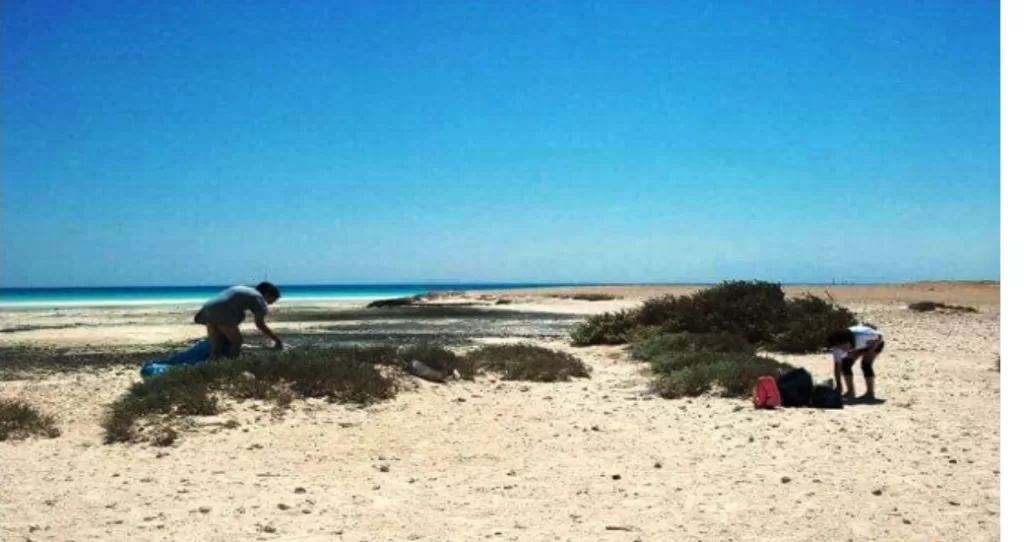 A la découverte de l'île d'Abu Minqar, la plus belle île marine de la mer Rouge 6 - Le Progrès Egyptien A la découverte de l'île d'Abu Minqar, la plus belle île marine de la mer Rouge 5 - Le Progrès Egyptien