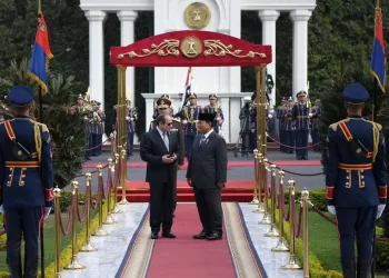 Al-Sissi reçoit son homologue indonésien