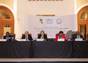 Le ministère de l’environnement renforce la coopération égypto-africaine