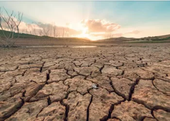 COP16 : Un rapport accablant sur l’aridité dans le monde