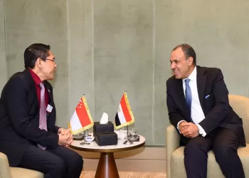 L’Egypte ne ménage aucun effort pour aider les Palestiniens à Gaza