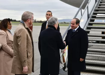 Sommet égypto-irlandais demain pour renforcer la coopération bilatérale 8 - Le Progrès Egyptien