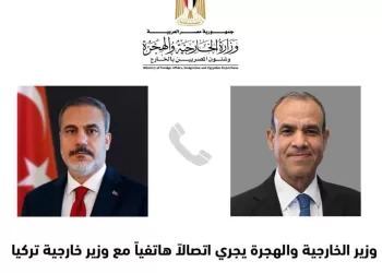 Le ministre des AE confirme la position de l'Egypte envers la situation en Syrie 9 - Le Progrès Egyptien