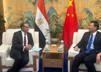 Soutien chinois des grands projets en Egypte