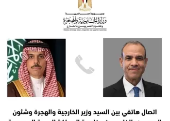 Appel téléphonique entre Abdel Aati et son homologue saoudien