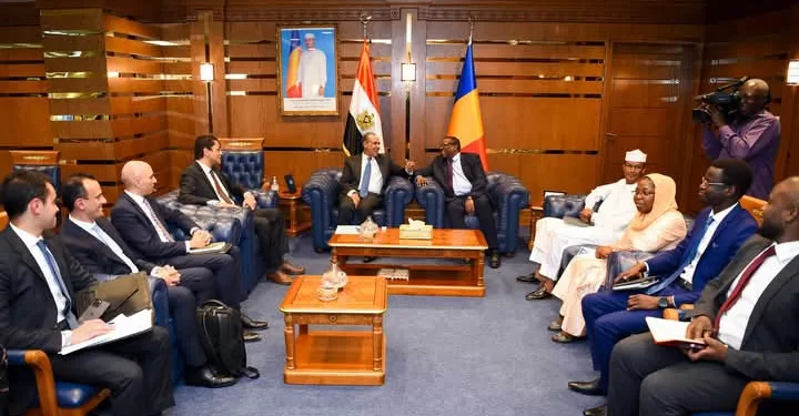 N'Djamena: Le ministre des AE s'entretient avec son homologue tachadien 1 - Le Progrès Egyptien