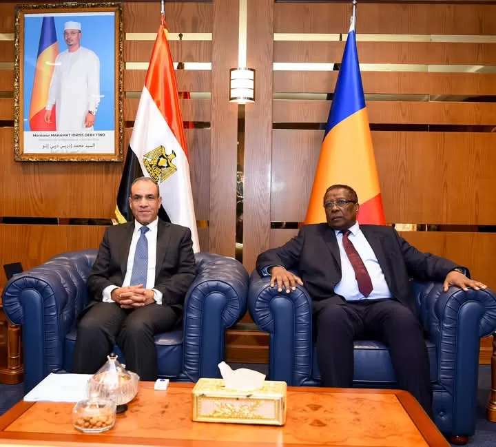 N'Djamena: Le ministre des AE s'entretient avec son homologue tachadien 3 - Le Progrès Egyptien