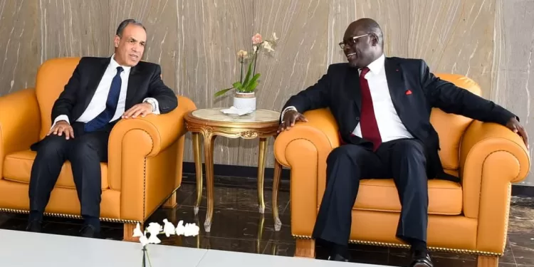 Le ministre des AE rencontre son homologue gabonais 1 - Le Progrès Egyptien
