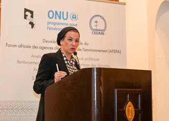 La ministre de l’Environnement à la 2e table ronde d’AFEPA