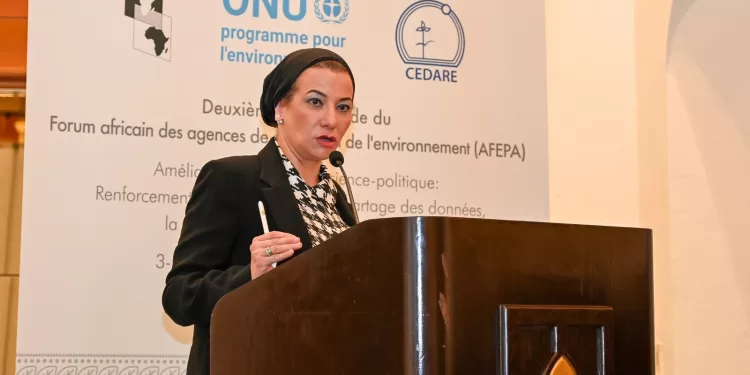 La ministre de l'Environnement à la 2e table ronde d'AFEPA 1 - Le Progrès Egyptien