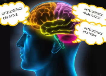 Avez-vous une intelligence analytique?