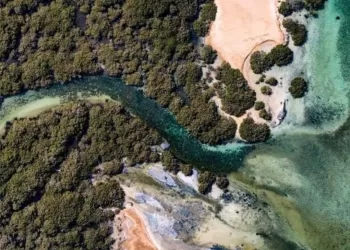 A la découverte de l’île d’Abu Minqar, la plus belle île marine de la mer Rouge