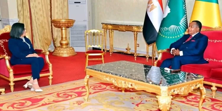 Approfondir les relations économiques et commerciales avec l'Afrique 2 - Le Progrès Egyptien Approfondir les relations économiques et commerciales avec l'Afrique 1 - Le Progrès Egyptien