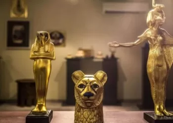 Récupération de certains objets archéologiques de Dublin