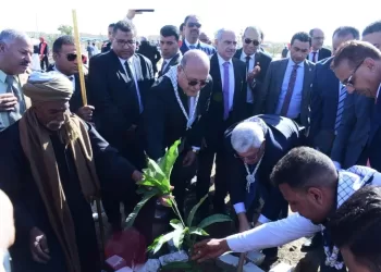 Initiative présidentielle de planter 100 millions d’arbres : 60 arbres fruitiers à l’Université de Sohag