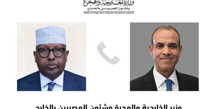 AE : L'Egypte soutient la sécurité et la stabilité de la Somalie 1 - Le Progrès Egyptien