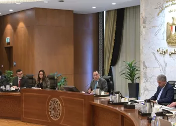 Vieux Caire, coup de pinceau