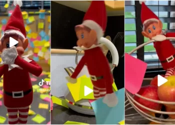 Les lutins farceurs, les stars de Noël sur les réseaux sociaux