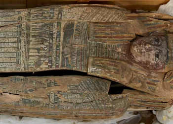 Une collection d’objets égyptiens récupérée de l’Irlande