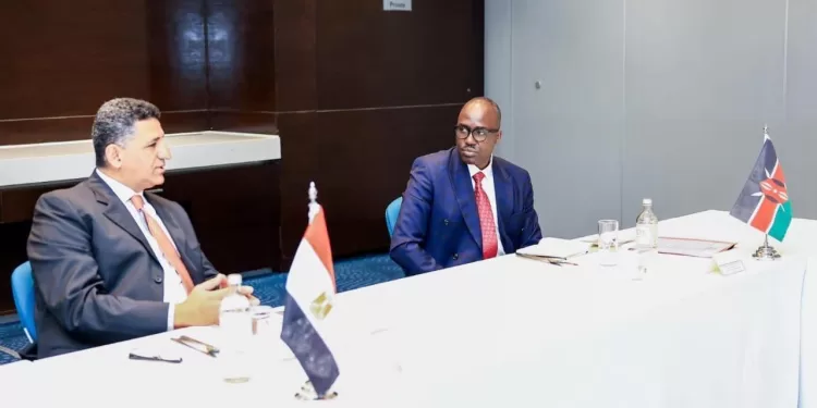 Egypte-Kenya : Consultations sur les affaires multilatérales et la sécurité internationale 1 - Le Progrès Egyptien