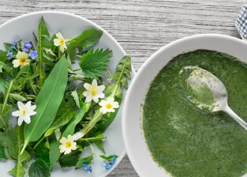 Cinq végétaux pour remplacer la viande