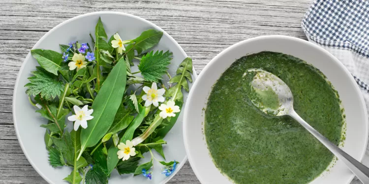 Cinq végétaux pour remplacer la viande 2 - Le Progrès Egyptien Cinq végétaux pour remplacer la viande 1 - Le Progrès Egyptien