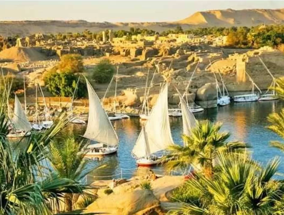 Assouan : La saison touristique démarre en force 8 - Le Progrès Egyptien Assouan : La saison touristique démarre en force 7 - Le Progrès Egyptien